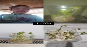 17-04-2025