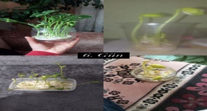 17-04-2025