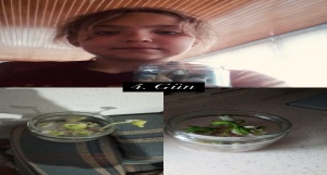 17-04-2025