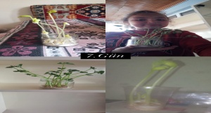 17-04-2025